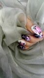 Bild 44